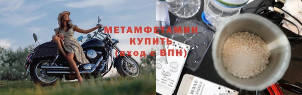 прущие крисы Новозыбков