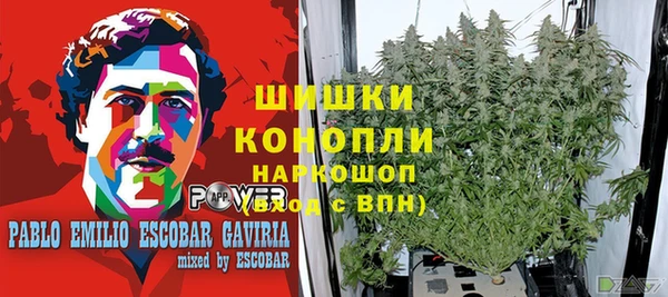 прущие крисы Новозыбков