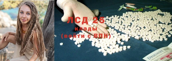прущие крисы Новозыбков