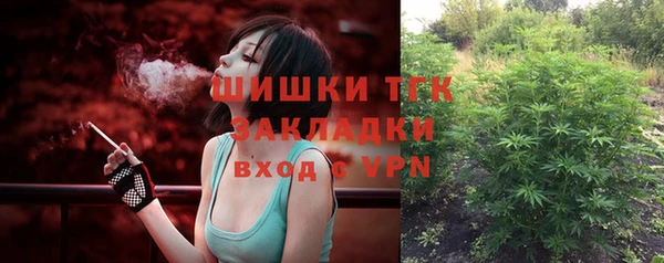 прущие крисы Новозыбков